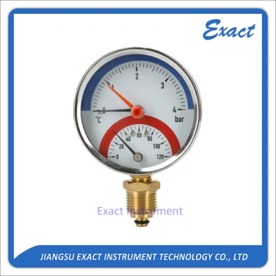 압력 및 온도 게이지, 온도계 및 압력계 유형